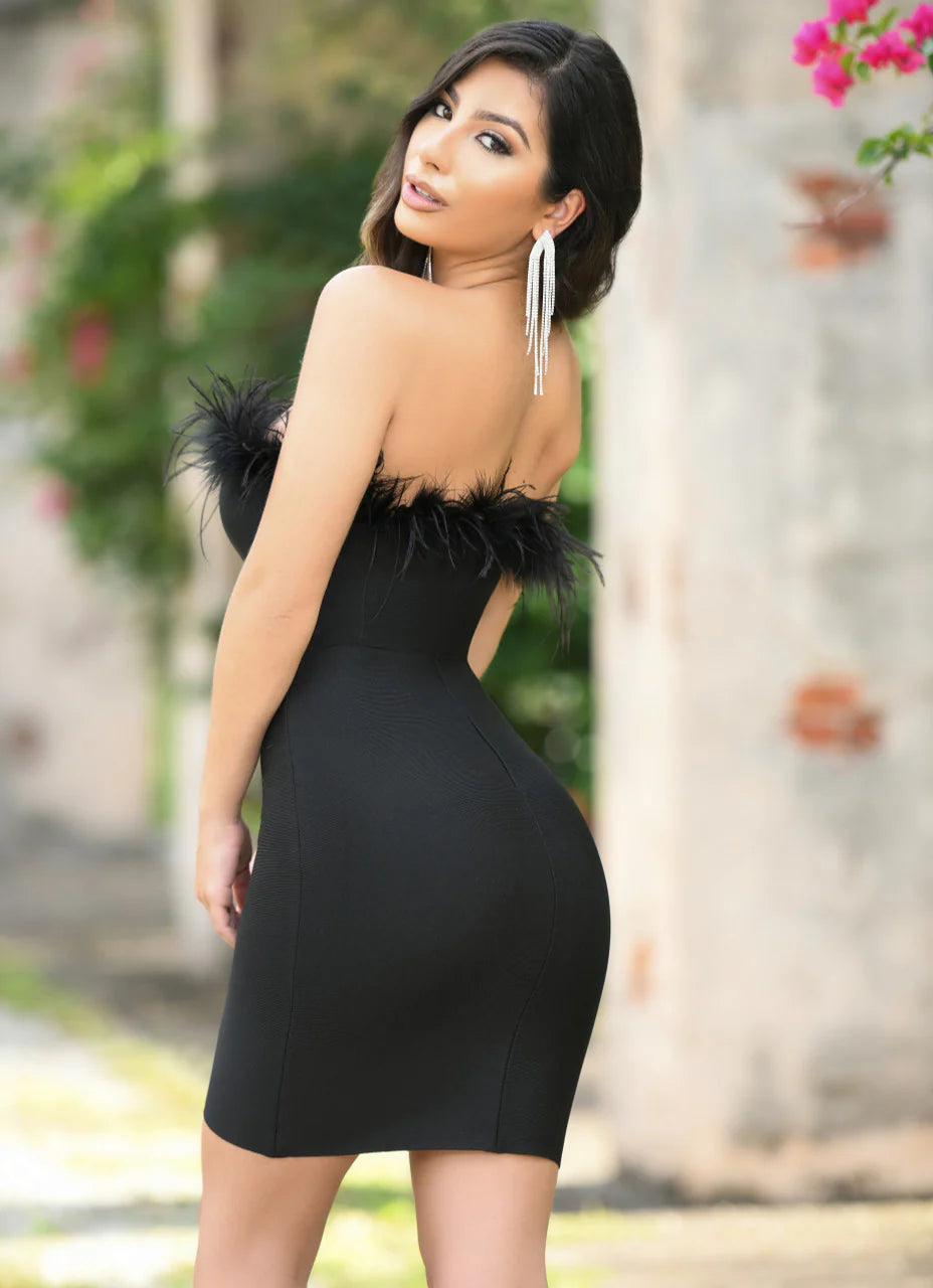 Sochi Mini Dress - Black Feather -FINAL SALE