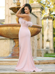 Sochi Gown - Blush Feather - FINAL SALE